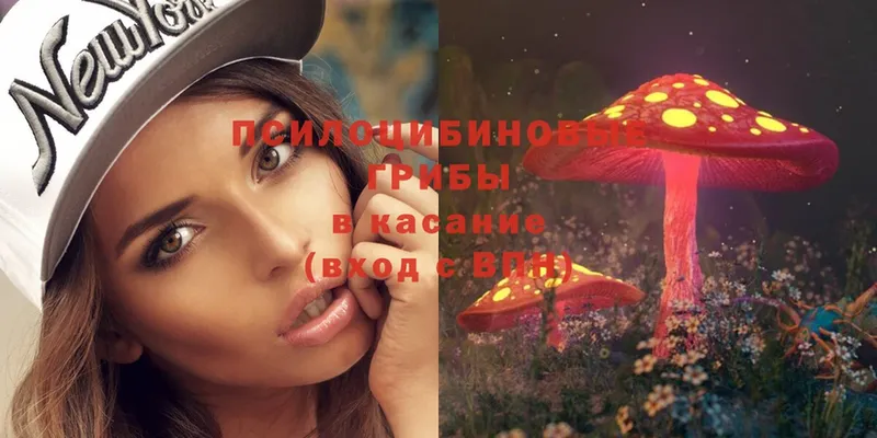 Галлюциногенные грибы MAGIC MUSHROOMS  где можно купить   Алапаевск 